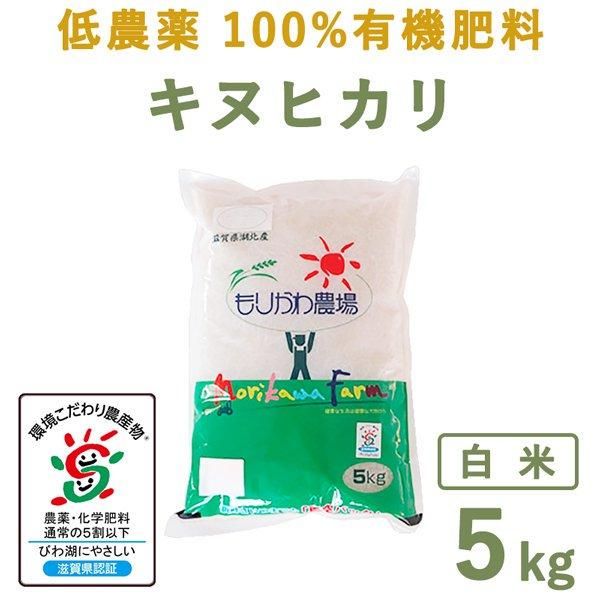 楽天市場】キヌヒカリ 白米 10kg 令和6年 滋賀県産 米 お米 送料