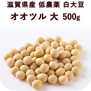 滋賀県産 低農薬白大豆 オオツル 大 500g 令和３年産