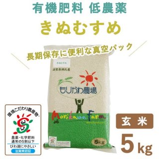 滋賀県産 きぬむすめ 玄米真空 5kg