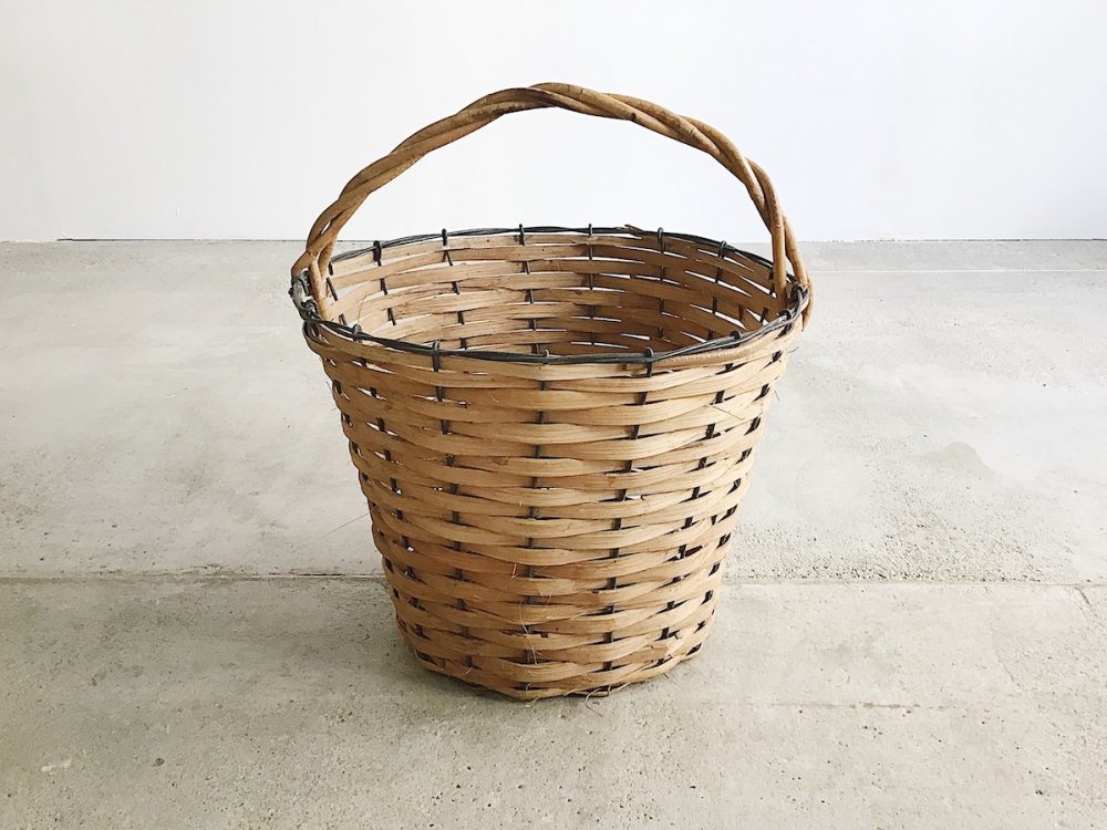 Basket  ( 24 )