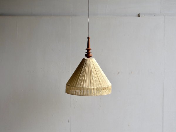 Pendant Lamp (145)