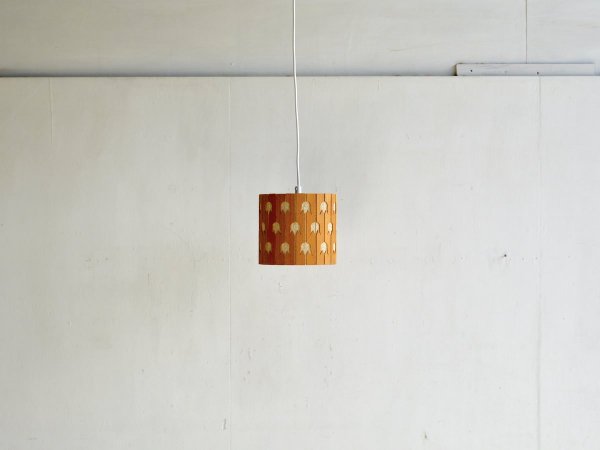 Pendant Lamp (302)