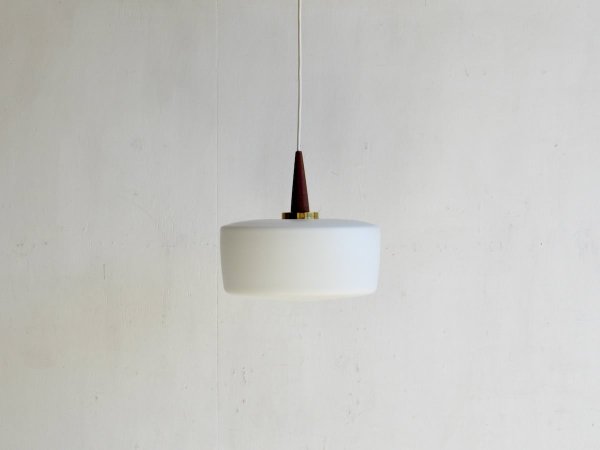 Pendant Lamp (334)