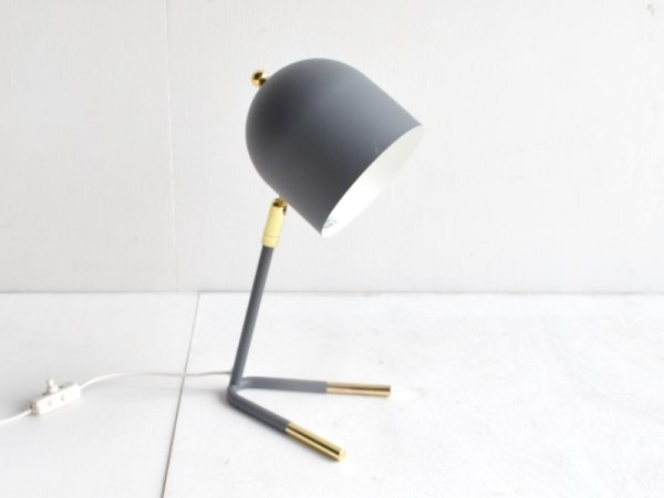 Desk Lamp (244)