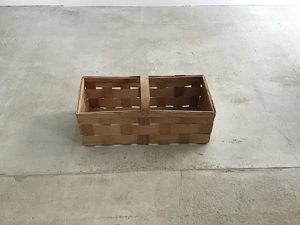 Spankorg Basketʣ