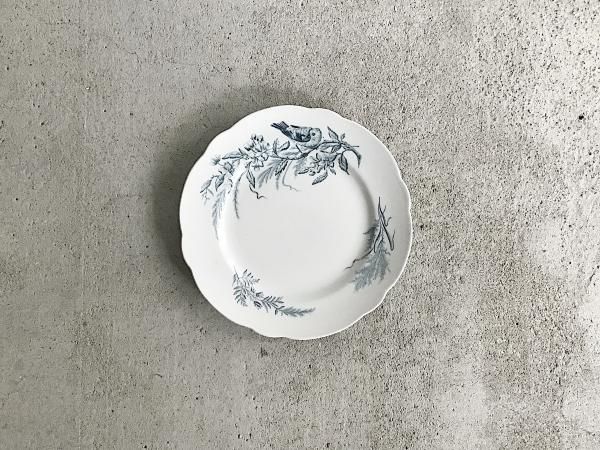 Plate  /  BELLA