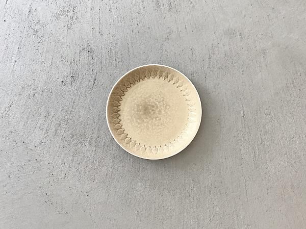Plate ( S )  /  ( 3 )