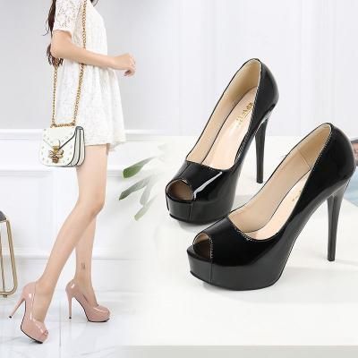 ѡƥ ѥץ  ץȥ ƥåȥҡ ̵ ϥҡ ץ饤 뺧 ƤФ 󼡲 dr00964