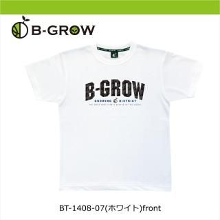 <img class='new_mark_img1' src='https://img.shop-pro.jp/img/new/icons15.gif' style='border:none;display:inline;margin:0px;padding:0px;width:auto;' />B-GRWԥ