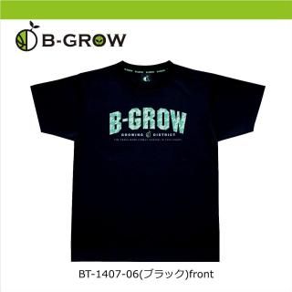 <img class='new_mark_img1' src='https://img.shop-pro.jp/img/new/icons15.gif' style='border:none;display:inline;margin:0px;padding:0px;width:auto;' />B-GRWԥ