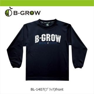 <img class='new_mark_img1' src='https://img.shop-pro.jp/img/new/icons15.gif' style='border:none;display:inline;margin:0px;padding:0px;width:auto;' />BGRW󥷥