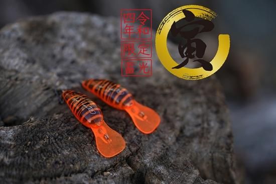 アルフレッド　クロトDRSS　オリカラスプーンセット アルフレッド クロトDRSS オリカラ スプーンセット アルフレッド