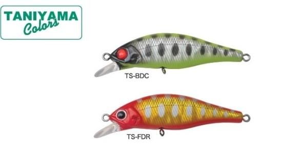 サムルアーズ　オリカラセット パームス アレキサンドラ 谷山オリカラ