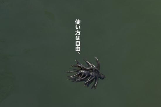 イマカツ ヘアリースパイダー クジャラ