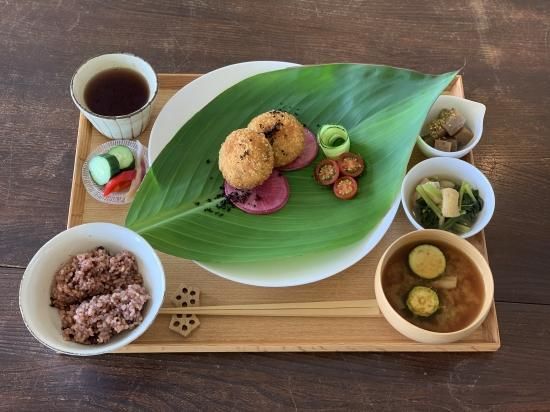 令和6年産】にじいろ酵素玄米プレミアムキット (自然栽培米 令和6年産】にじいろ酵素玄米プレミアムキット (自然栽培米
