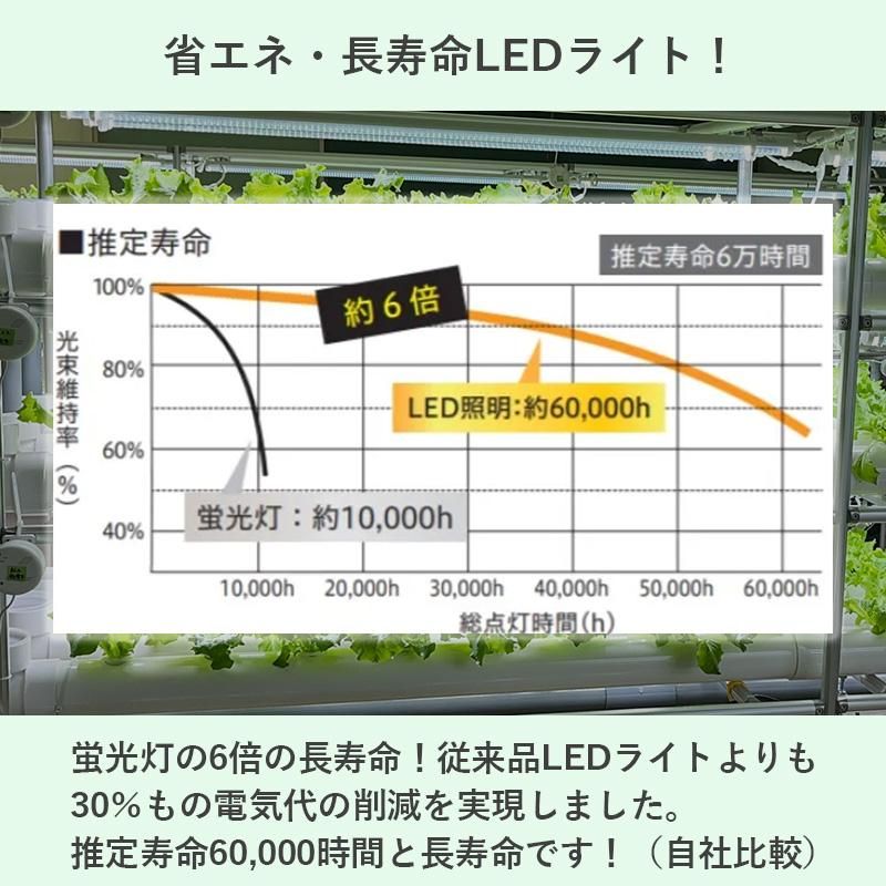 ʲ4_LED饤