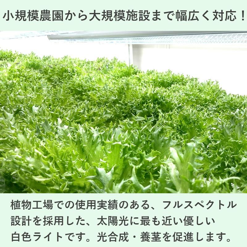 ʲ2_LED饤