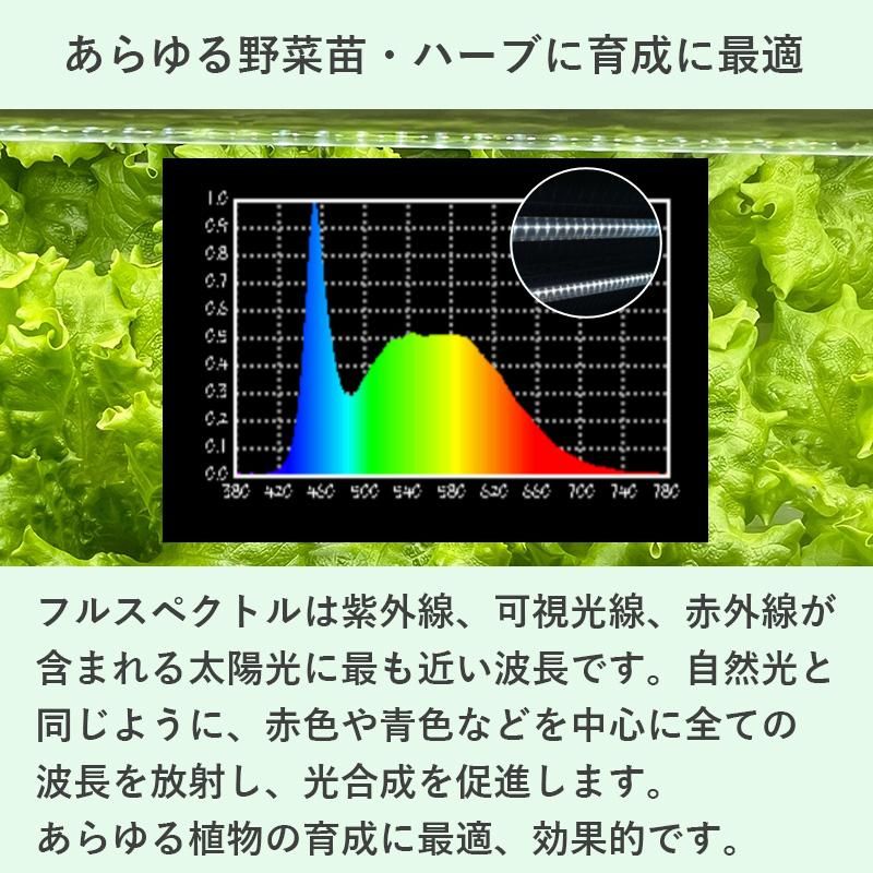 ʲ3_LED饤