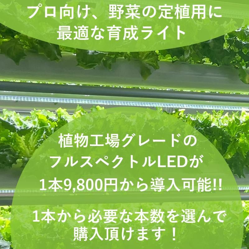 եȥӥ塼_LED饤
