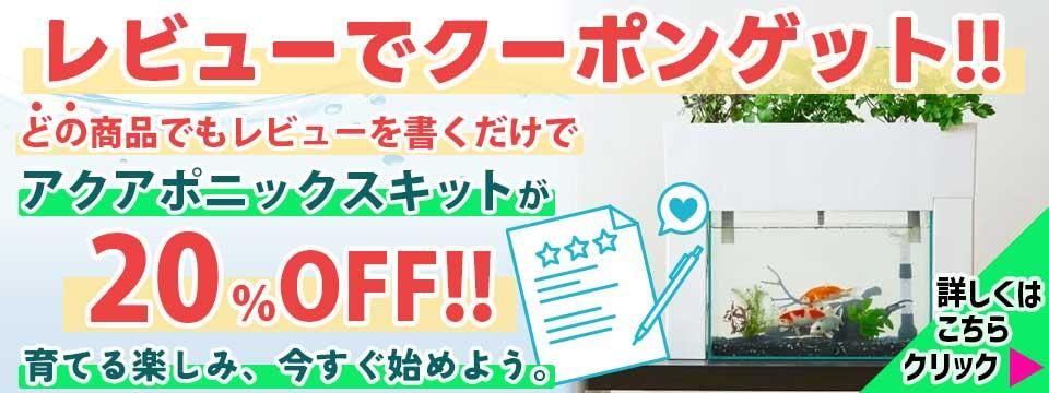 ӥ塼ڡХʡ