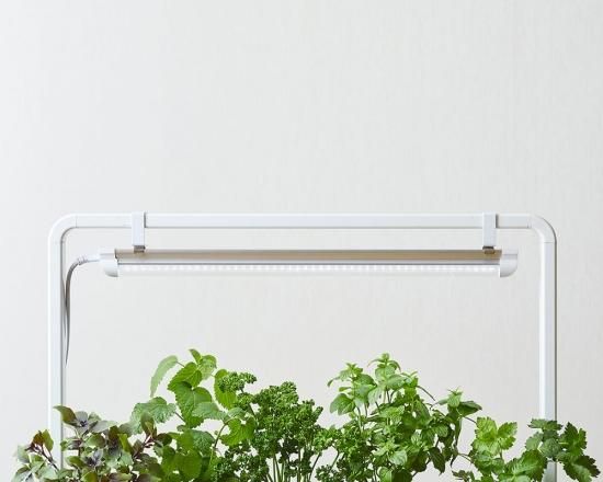 アクアスプラウト Sv 用 植物用 フルスペクトル Led ライト ホワイト ライトスタンド 付 アクアポニックス 水耕栽培の専門店 さかな畑 アクアスプラウト Sv 用 植物用 フルスペクトル Led ライト ホワイト ライトスタンド 付 アクアポニックス 水耕栽培の専門店 さかな畑