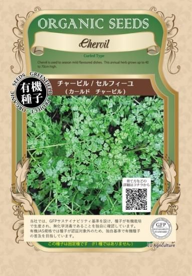 チャービル セルフィーユ 有機 種子 固定種 グリーンフィールド ハーブ 小袋 チャービル セルフィーユ 有機 種子 固定種 グリーンフィールド ハーブ 小袋