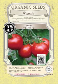 トマト とまと / 中玉 / マティナ / 有機 種子 固定種 / グリーンフィールド / 果菜 [大袋]