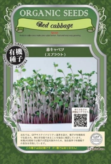 注目の 有機 / キャベツ 赤 種子 グリーンフィールド / 固定種 種・苗
