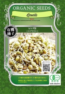 有機 レンズ 豆 / 有機 種子 固定種 / グリーンフィールド / スプラウト [大袋]