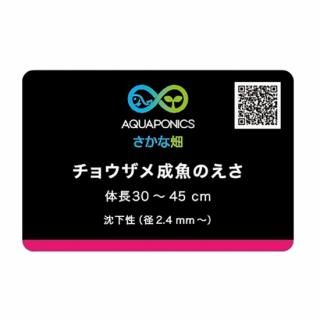チョウザメ エサ 飼料 沈餌 成魚用 体長 45cm?60cm 【20kg】 送料無料