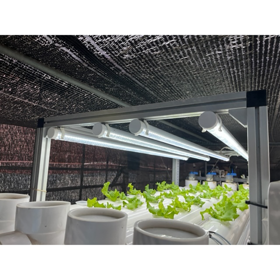 定植用 LEDライト フルスペクトル 120cm 25W 4本×4段 16本セット 定植用 LEDライト フルスペクトル 120cm 25W 4本×4段 16本セット