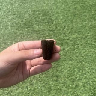 <img class='new_mark_img1' src='https://img.shop-pro.jp/img/new/icons5.gif' style='border:none;display:inline;margin:0px;padding:0px;width:auto;' /> ¥ 2,000ġ200/ȡ10ȡ1Ȣ˥ݥ˥å ̺