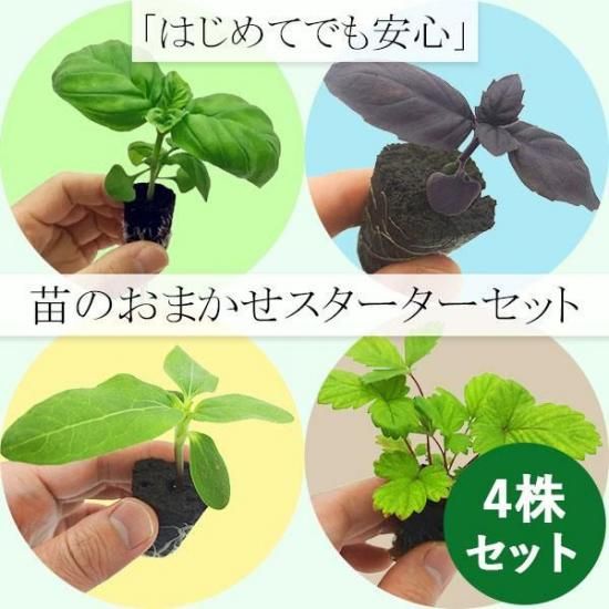 那須の植物誌　続編　2冊セット 【保育社】 本を探す | 保育社