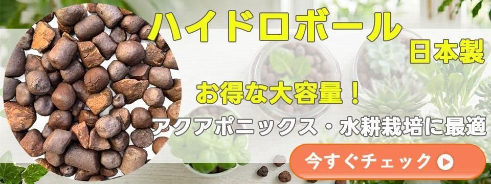アクアポニックス、水耕栽培の専門店「おさかな畑」