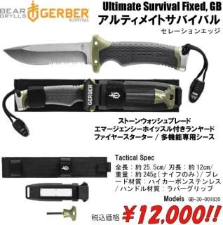<img class='new_mark_img1' src='https://img.shop-pro.jp/img/new/icons24.gif' style='border:none;display:inline;margin:0px;padding:0px;width:auto;' />ƥᥤȥХХ롡졼󥨥å