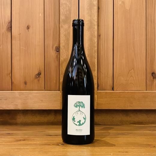 ⭐︎さま専用ヴェルリッチ Morillon vom Opok ,Ex vero I MORILLON VOM OPOK 2021 WERLITSCH / モリヨン・フォン