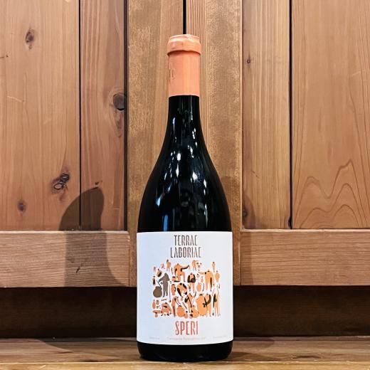 ƥ饨ܥꥢ / ڥ 2022