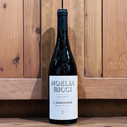 Υꥢå / 󥸥ǥޡ˥㡦Sp롦󥸥 2022