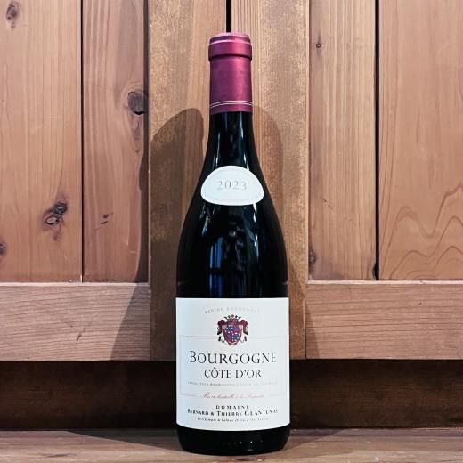 ƥ꡼ȥͥ / ֥르˥塦ȡɡ 2023