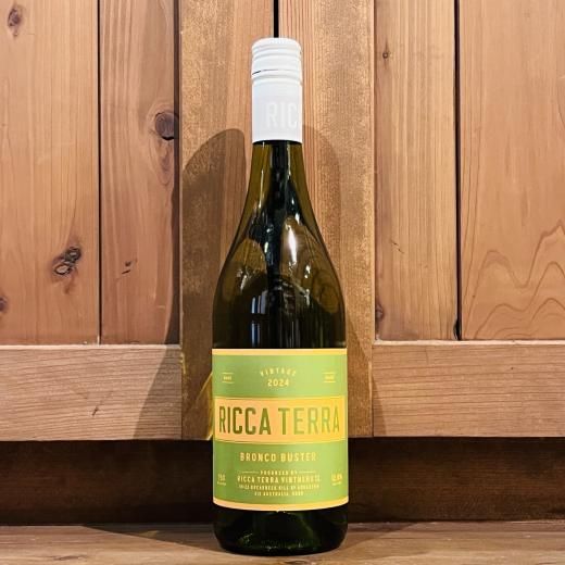 åƥå / ֥󥳥Х 2024