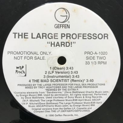 THE LARGE PROFESSOR - I JUSWANNACHILL / HARD! - 【Komony Records】