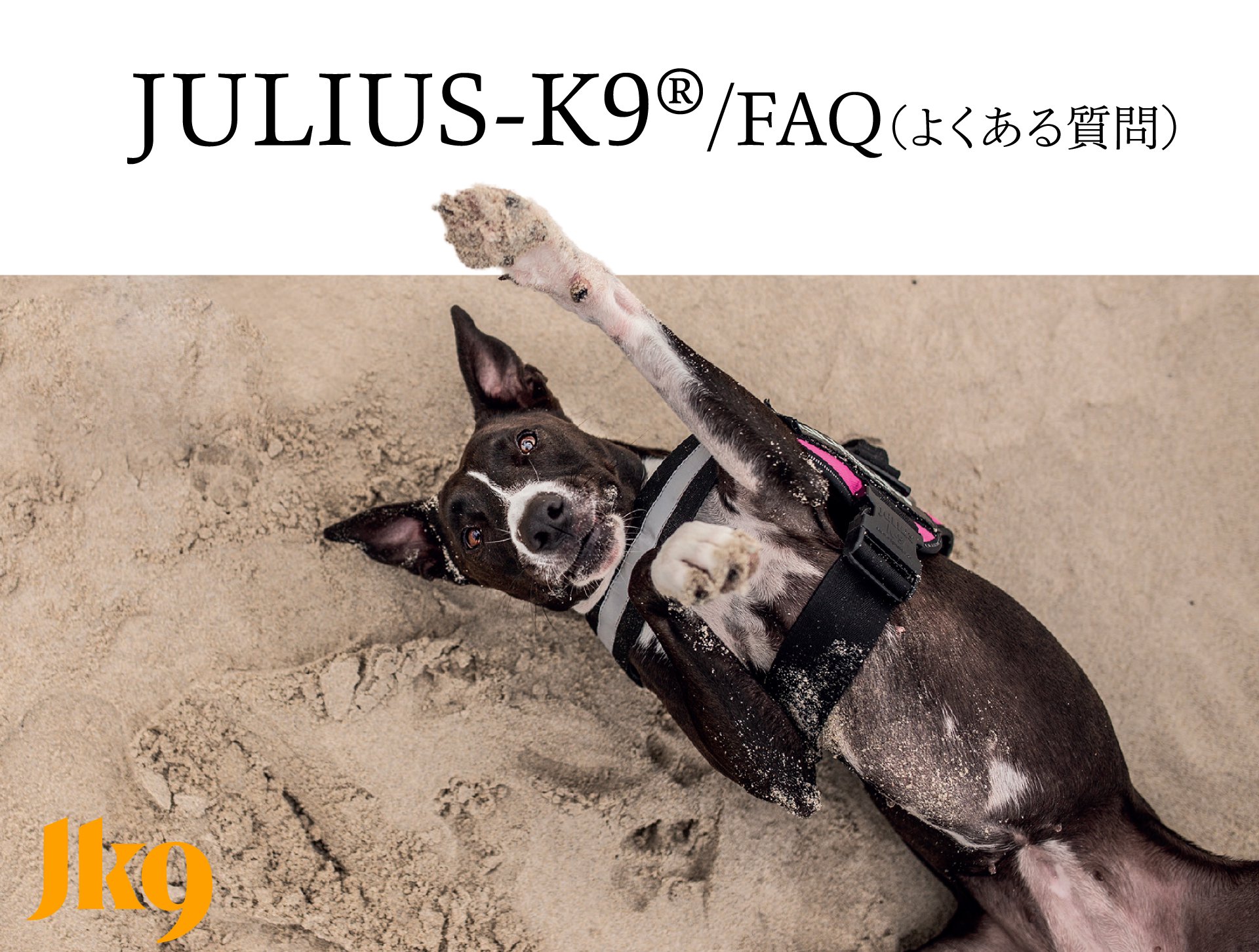 ブランド：JULIUS-K9/ユリウスケーナイン：FAQ（よくあるご質問）