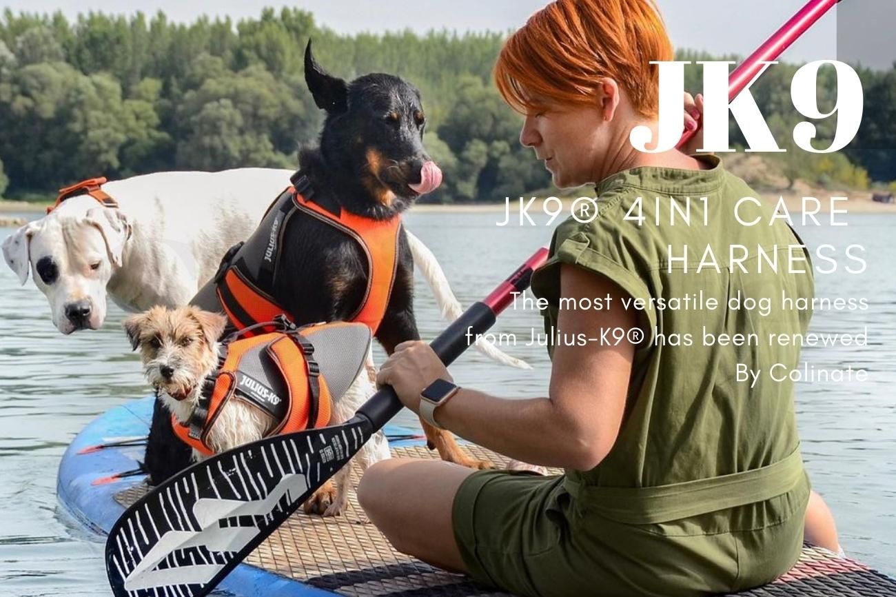 ユリウスk9 歩行サポートハーネス