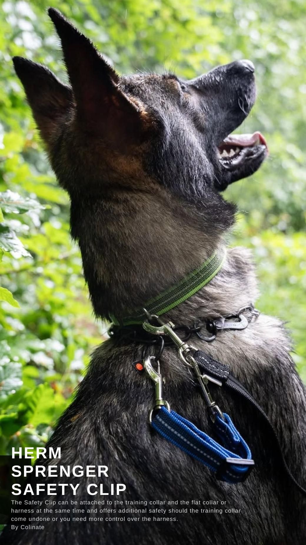 大型犬 ドイツ製 ラバーリード