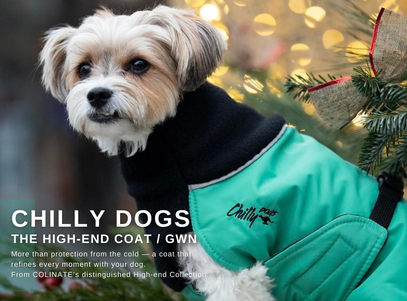 Chilly Dogs 緿 