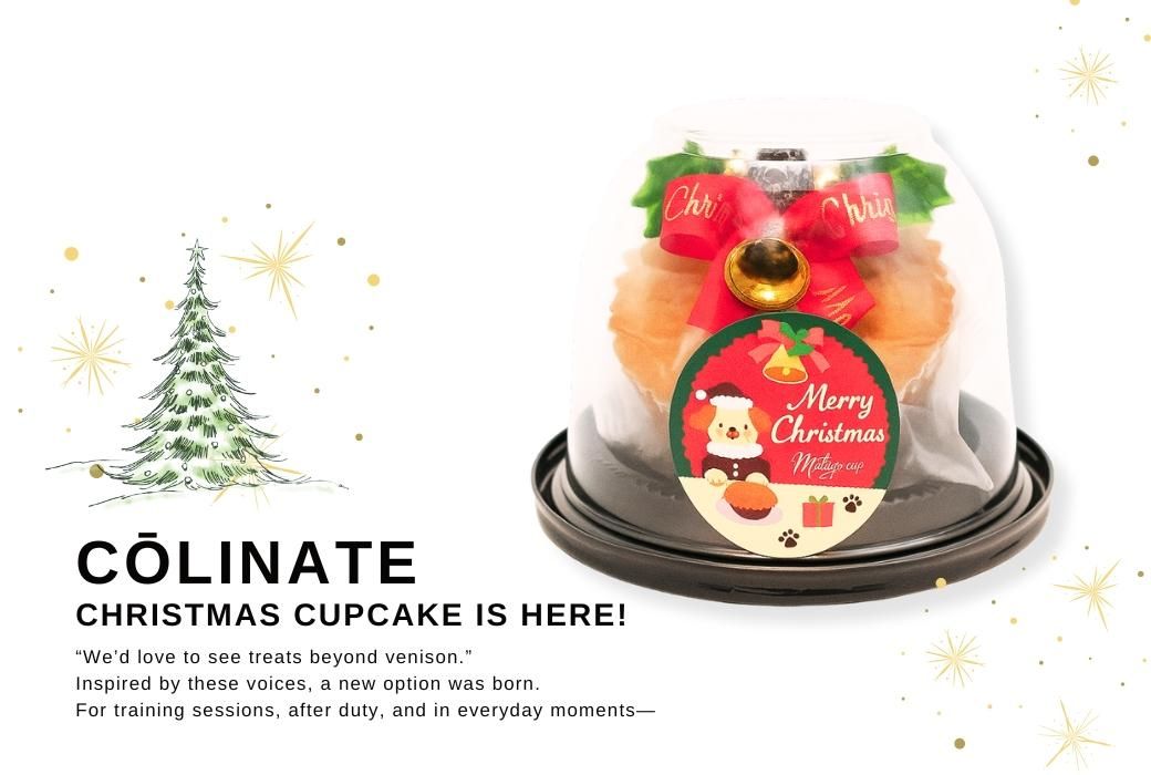 大型犬用 クリスマスケーキ