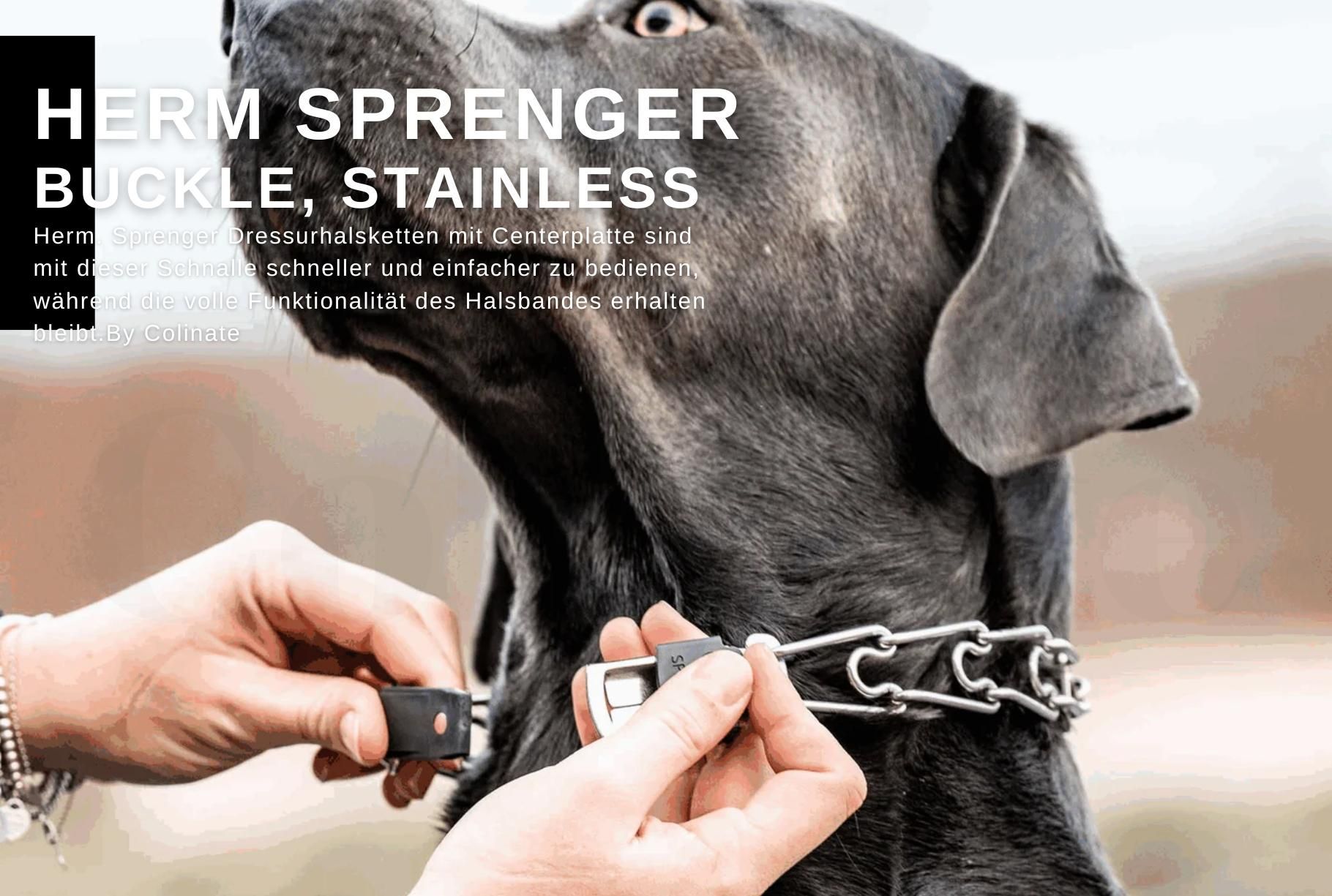 スパイクチェーンバックル