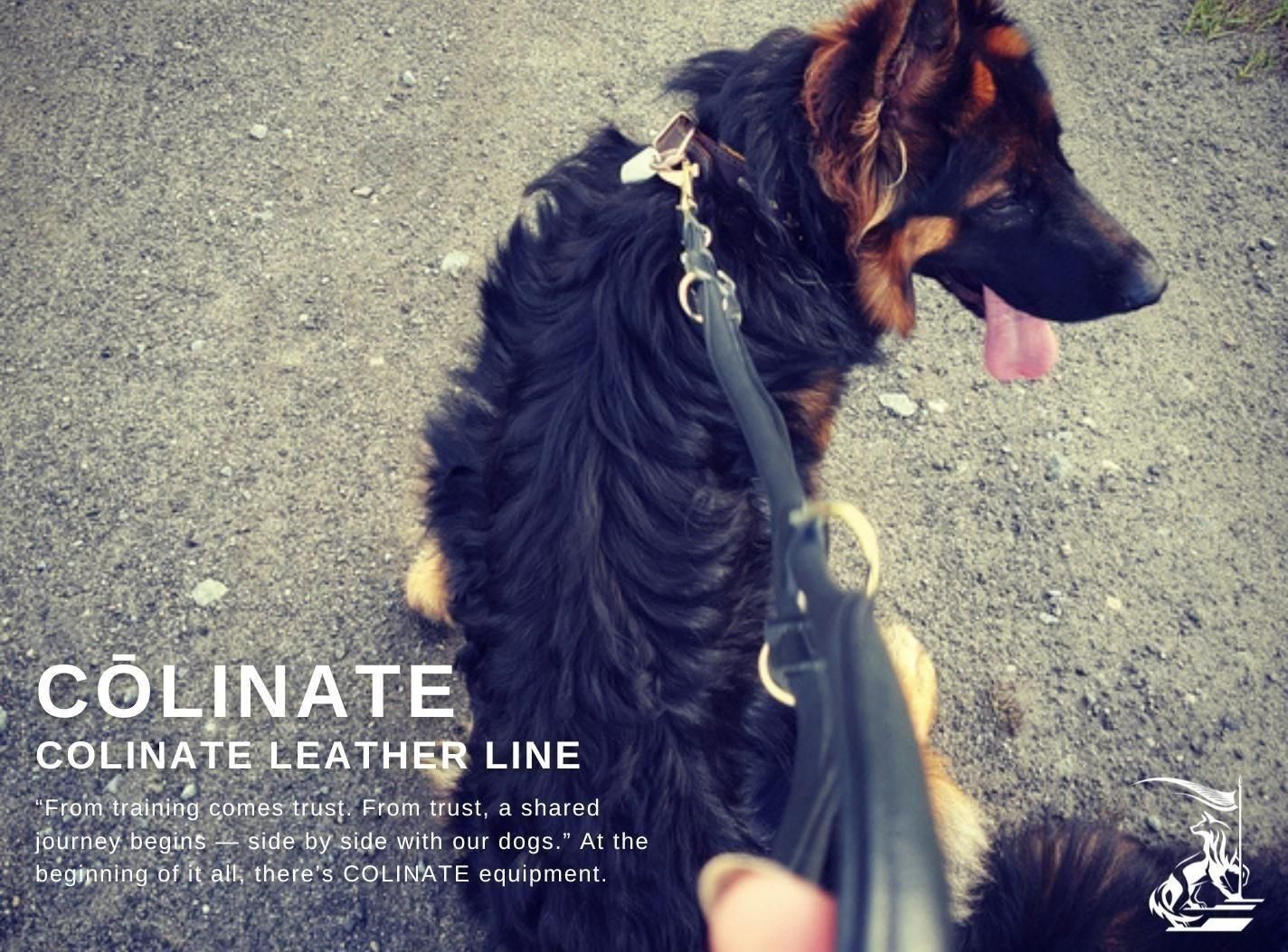 2024 Newデザイン 大型犬/超大型犬 リード【ジュラル・ポリス