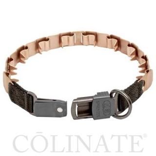 大型犬のためのハイクオリティ訓練用品店 Colinate コーリネイト 大型犬のためのハイクオリティ訓練用品店 Colinate コーリネイト