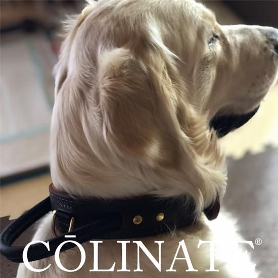 大型犬のためのハイクオリティ訓練用品店 Colinate コーリネイト